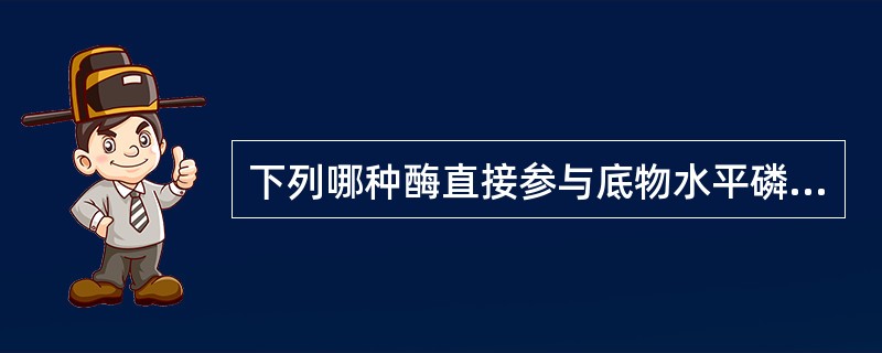 下列哪种酶直接参与底物水平磷酸化？（　　）