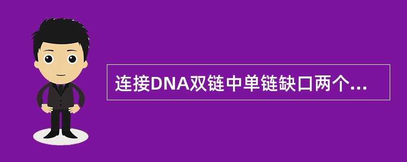 连接DNA双链中单链缺口两个末端的酶是（　　）。