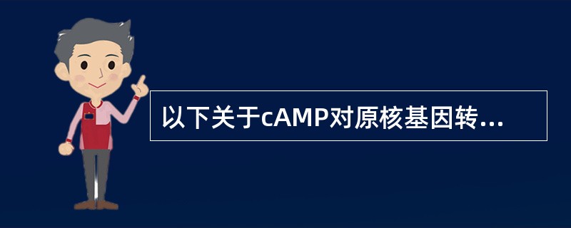 以下关于cAMP对原核基因转录的调控作用的叙述不正确的是（　　）。