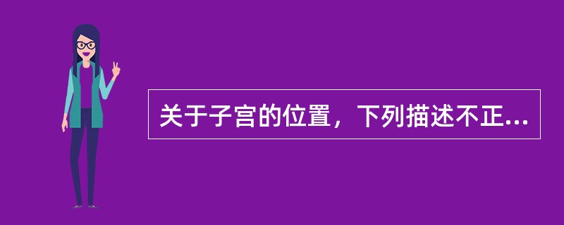 关于子宫的位置，下列描述不正确的是（　　）。