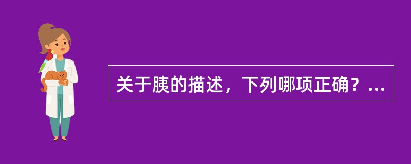 关于胰的描述，下列哪项正确？（　　）