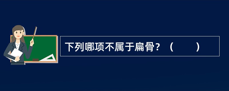 下列哪项不属于扁骨？（　　）