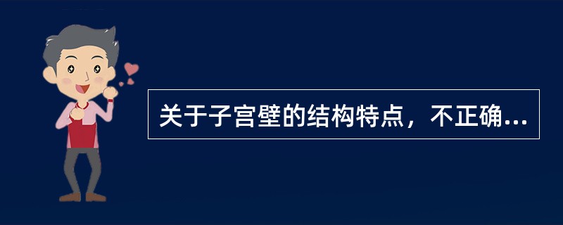 关于子宫壁的结构特点，不正确的是（　　）。