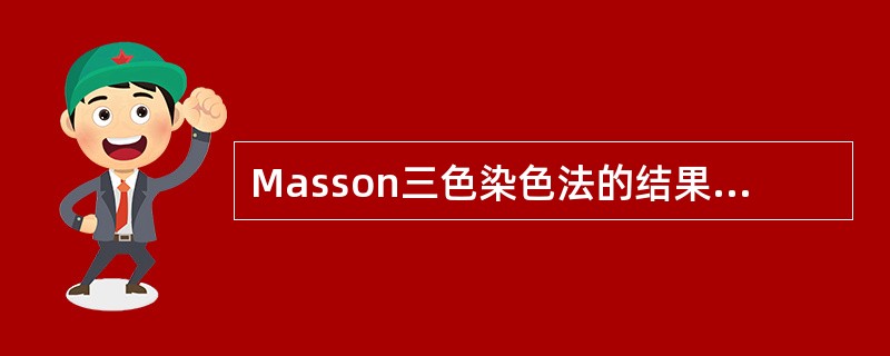 Masson三色染色法的结果哪项正确？（　　）