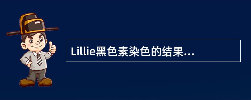 Lillie黑色素染色的结果正确的是（　　）。