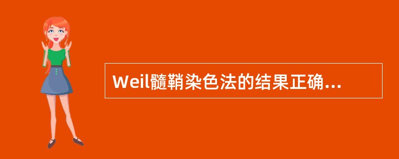 Weil髓鞘染色法的结果正确的是（　　）。
