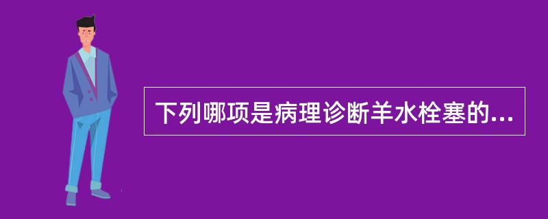 下列哪项是病理诊断羊水栓塞的依据？（　　）