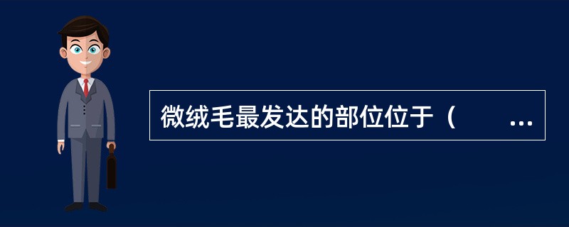 微绒毛最发达的部位位于（　　）。