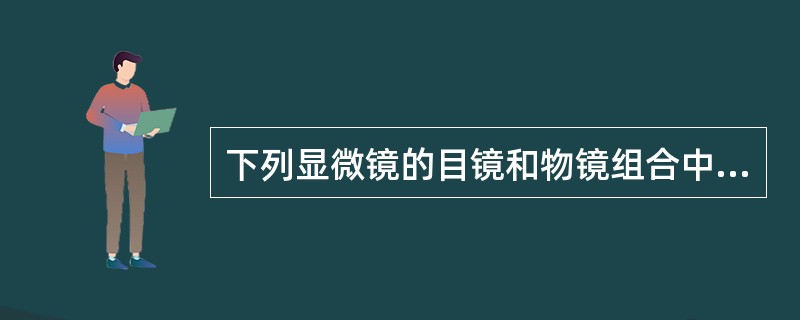 下列显微镜的目镜和物镜组合中，成像效果哪项最佳？（　　）