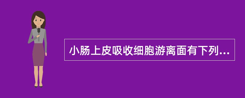 小肠上皮吸收细胞游离面有下列哪种结构？（　　）