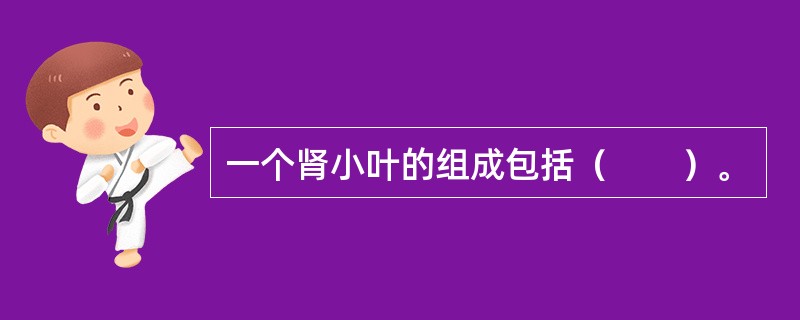 一个肾小叶的组成包括（　　）。
