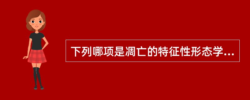 下列哪项是凋亡的特征性形态学改变？（　　）