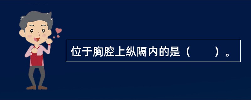 位于胸腔上纵隔内的是（　　）。