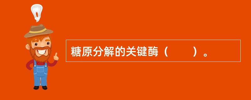 糖原分解的关键酶（　　）。