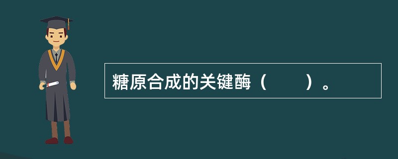 糖原合成的关键酶（　　）。