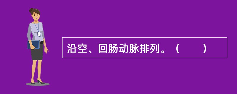 沿空、回肠动脉排列。（　　）