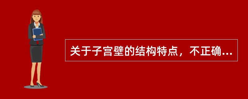 关于子宫壁的结构特点，不正确的是（　　）。