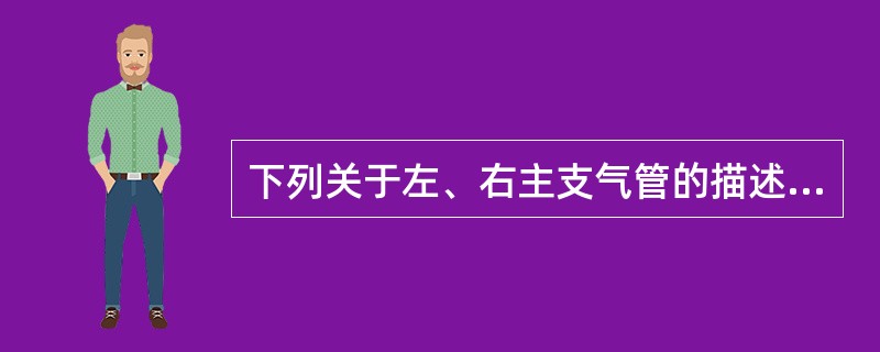 下列关于左、右主支气管的描述中错误的是（　　）。