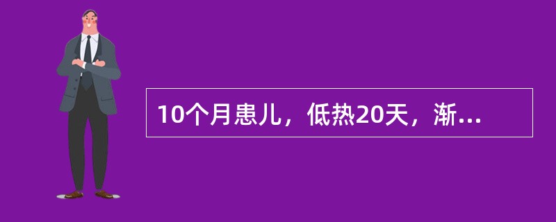 10个月患儿，低热20天，渐消瘦，近3天呕吐频繁，抽搐10余次，住院。体检：嗜睡，颈强直，布氏征（+），双则巴氏征（+），脑脊液微混，白细胞330×106/L，多核<单核，蛋白1g/L，糖36m