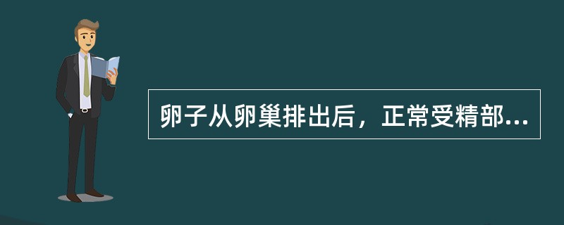 卵子从卵巢排出后，正常受精部位在（　　）。