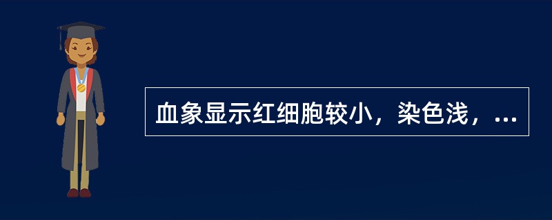 血象显示红细胞较小，染色浅，中央淡染区扩大的是（　　）。