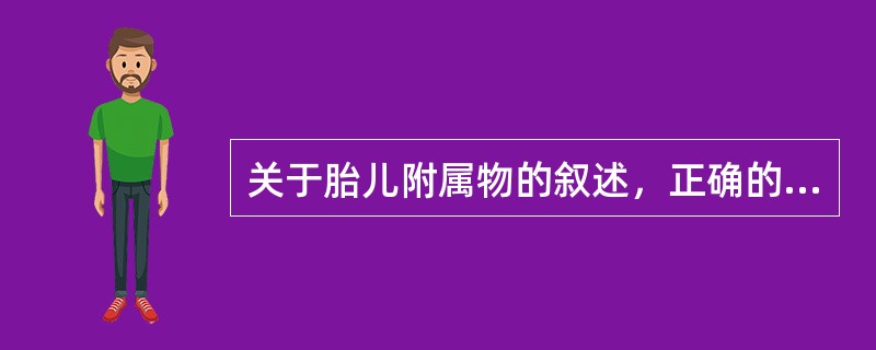 关于胎儿附属物的叙述，正确的是（　　）。