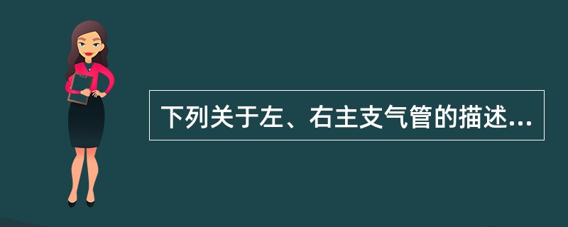 下列关于左、右主支气管的描述中错误的是（　　）。