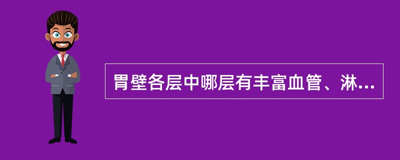 胃壁各层中哪层有丰富血管、淋巴管和神经丛？（　　）