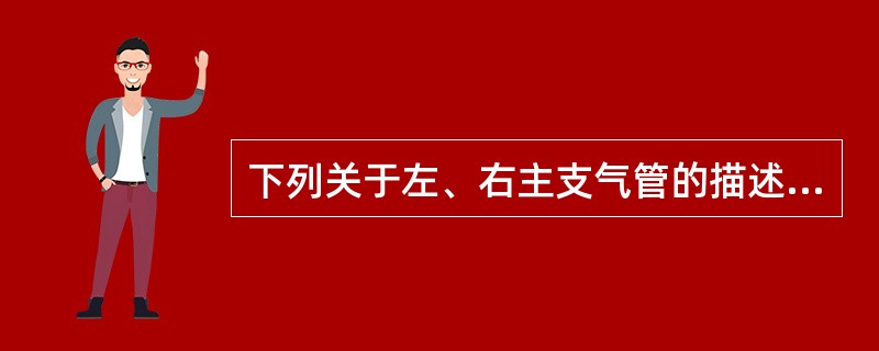 下列关于左、右主支气管的描述中错误的是（　　）。