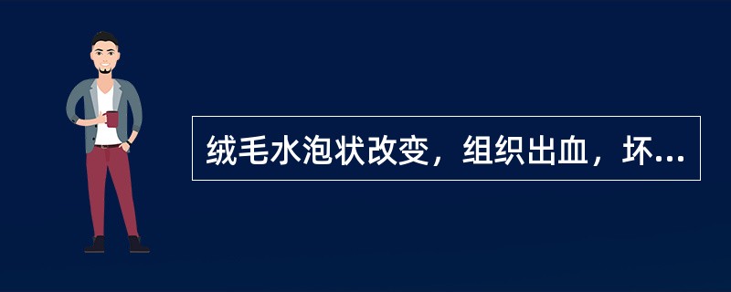 绒毛水泡状改变，组织出血，坏死，侵入子宫肌层（　　）。