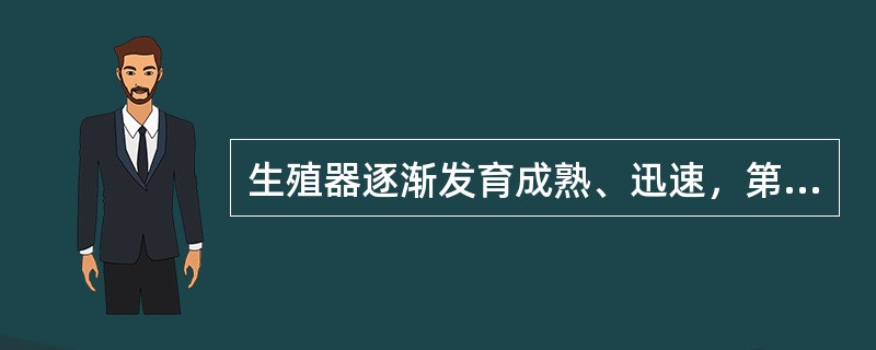 生殖器逐渐发育成熟、迅速，第二性征形成（　　）。