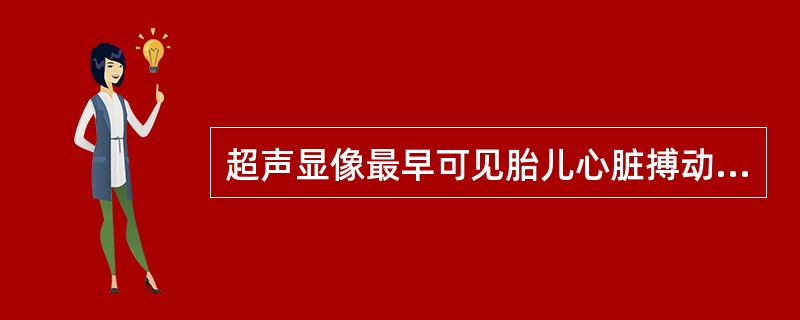 超声显像最早可见胎儿心脏搏动是在（　　）。