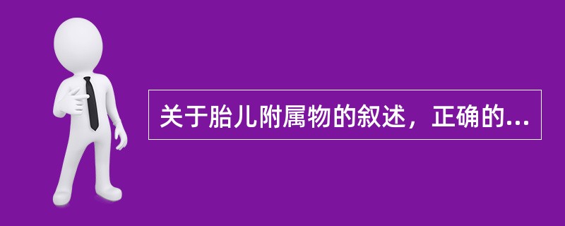 关于胎儿附属物的叙述，正确的是（　　）。