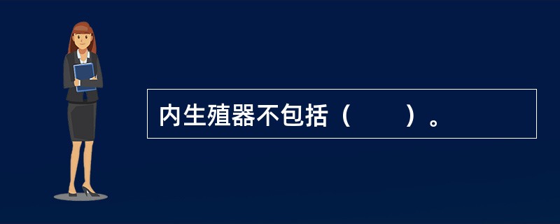 内生殖器不包括（　　）。