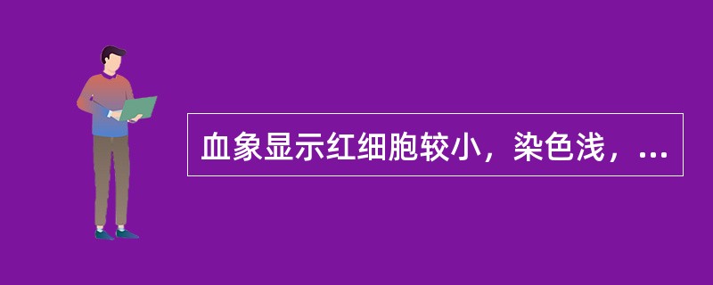 血象显示红细胞较小，染色浅，中央淡染区扩大的是（　　）。