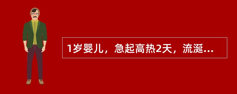 1岁婴儿，急起高热2天，流涎拒食。查体：无皮疹，咽部充血，咽腭悬雍垂、软腭等处可见多个2～3mm大小的疱疹，心肺（－），考虑诊断最可能是（　　）。