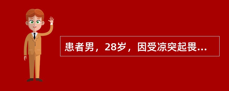 患者男，28岁，因受凉突起畏寒、发热（39.2℃），左侧胸痛伴咳嗽，咯少量铁锈色痰。胸部X线摄片见左下肺野大片阴影。其最可能的诊断是（　　）。