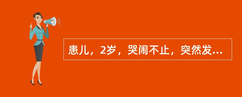 患儿，2岁，哭闹不止，突然发作剧烈的阵发性腹痛，伴有呕吐和果酱样血便，腹部可扪及腊肠形肿块，并有压痛，该症状为