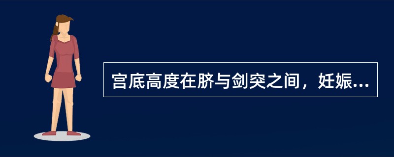 宫底高度在脐与剑突之间，妊娠周数应是（　　）。