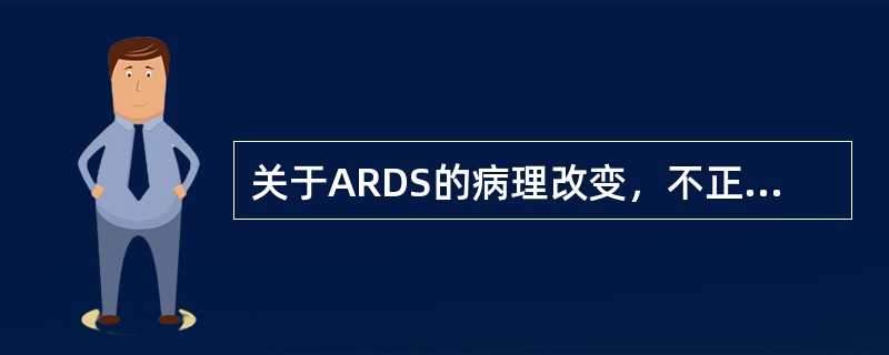 关于ARDS的病理改变，不正确的是（　　）。