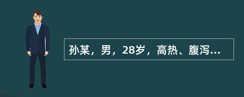 孙某，男，28岁，高热、腹泻，诊断为细菌性痢疾，应对其进行