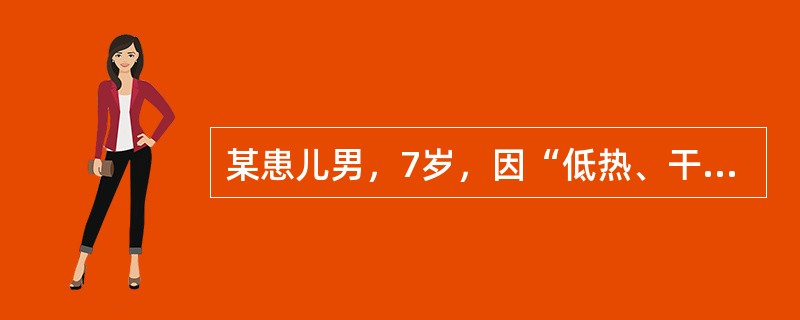 某患儿男，7岁，因“低热、干咳、食欲减退3周入院”。主诉，患儿3周前无明显诱因出现低热，最高体温38.2℃，夜间易出汗，伴有干咳。患儿祖父为开放性肺结核患者，患儿未接种过卡介苗。针对该患儿的主要护理措