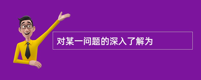 对某一问题的深入了解为