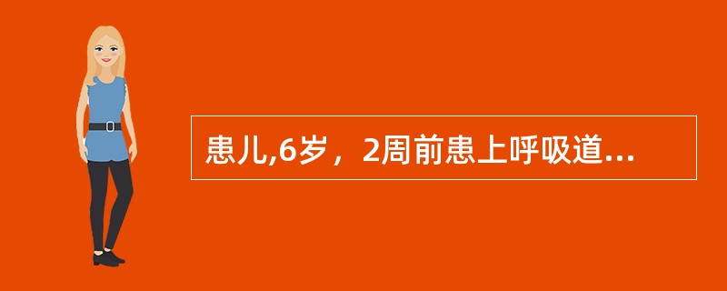 患儿,6岁，2周前患上呼吸道感染，近2天来颜面水肿、尿少、血尿、高血压。诊断为急性肾小球肾炎，患儿感染的致病菌最可能是