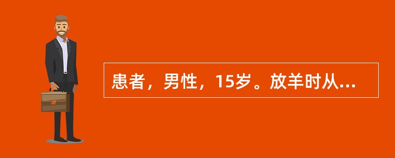 患者，男性，15岁。放羊时从山上滚落。入院时发现有头虮，应为患者提供的护理是