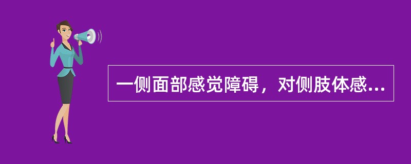 一侧面部感觉障碍，对侧肢体感觉障碍，称为（　　）。