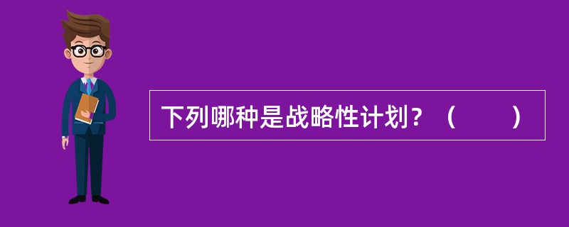 下列哪种是战略性计划？（　　）