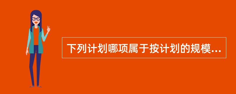 下列计划哪项属于按计划的规模划分的？（　　）