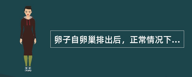 卵子自卵巢排出后，正常情况下受精是在输卵管的（　　）。