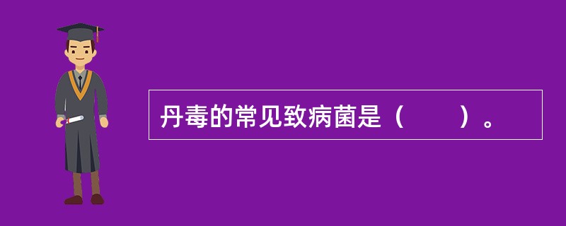 丹毒的常见致病菌是（　　）。